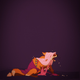 Illustration for article titled Historical Disney Princesses Are Your Next Cosplay Inspiration